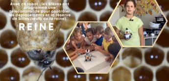 Les Robeez, un projet où les CM1 butinent entre nature et robotique !