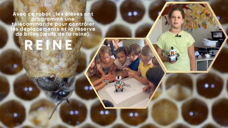 Les Robeez, un projet où les CM1 butinent entre nature et robotique !